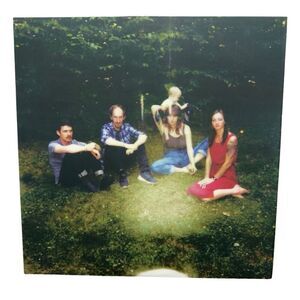 Upstate - You Only Get A Few (Vinyl, LP)